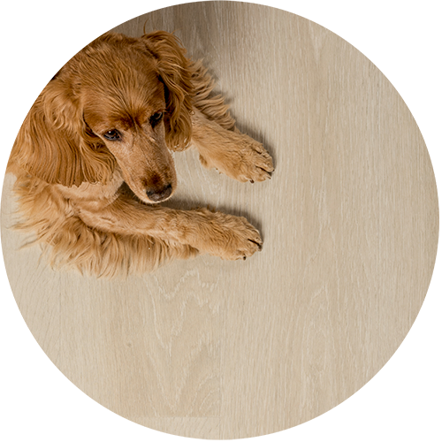 М&rsquo;які й теплі Ходити по нашим вініловим підлогам&nbsp;&mdash; справжнє задоволення:&nbsp;ваші ноги відчувають тепло, щойно ви прокинулися, і&nbsp;м&rsquo;якість, коли ви зняли черевики, повернувшись увечері з роботи. А якщо у вас мерзнуть ноги, ви навіть можете встановити систему підігріву нашої вінілової підлоги, щоб грітися.